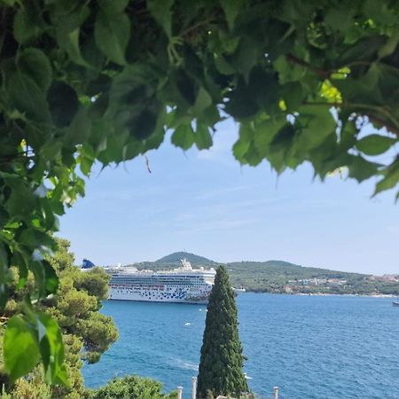 Apartment Ana Lozica With Terrace Dubrovnik Dış mekan fotoğraf